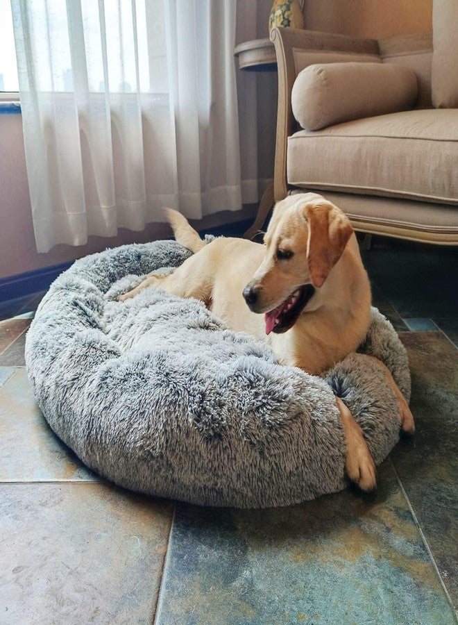 Petslover سرير Petslover بيضاوي الشكل مريح للكلاب، سرير قطط من الفرو الصناعي الناعم، وسادة دائرية قابلة للغسل للحيوانات الأليفة (رمادي، 3XL) - Image 5